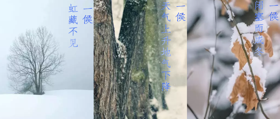 今日小雪，寒潮來(lái)襲，洗瓶機(jī)來(lái)幫你解放雙手吧！